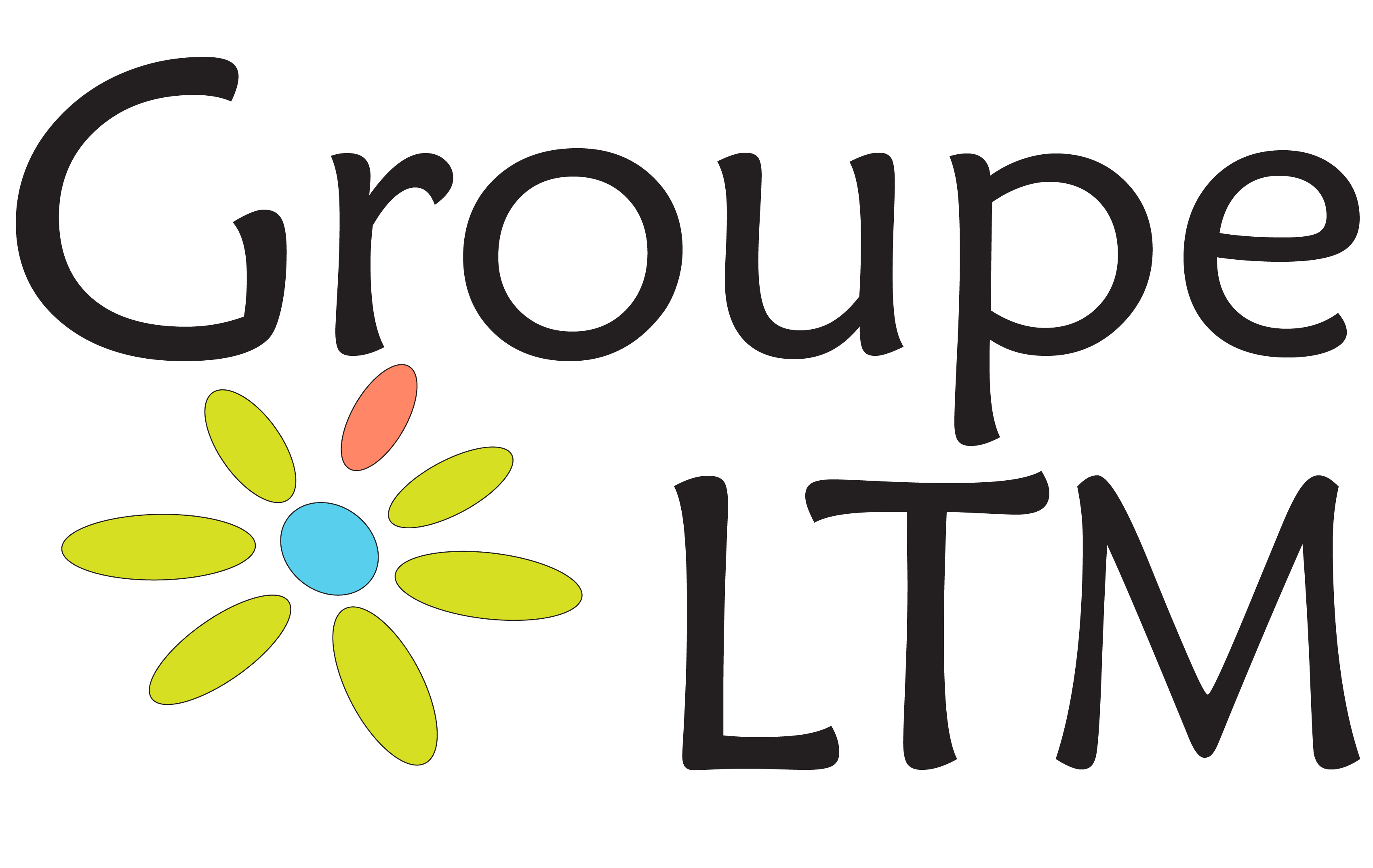 GroupeLTM